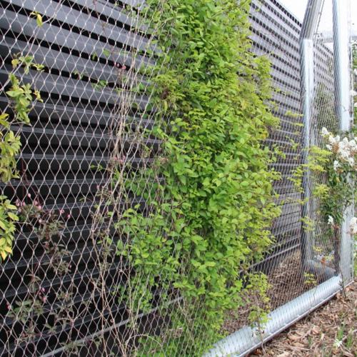 Rope Mesh Green Wall Supplier: High-Quality for Green Walls