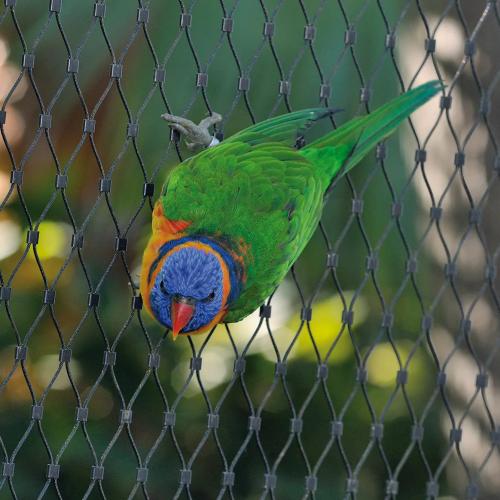 Steel Rope Wire Mesh for Zoological Enclosures